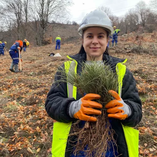 New SASA afforestation campaign: 5000 seedlings planted near the mine