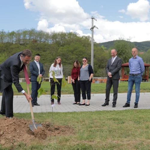 70 English oak trees planted in honor of the Platinum Jubilee of the British Monarch